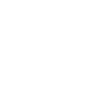 Lion Tribal Moon Phases