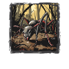 Fourmis fourmis