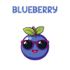 blueberry whisperer, blueberry
