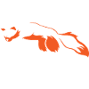 Fox Logo Design
