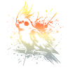 Dictons de calopsitte