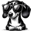 Cute dog with sunglasses