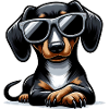 Cute dog with sunglasses