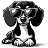 Cute dog with sunglasses