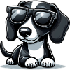 Cute dog with sunglasses