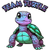 Team Turtle - 2