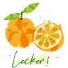 Orange Fruit