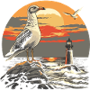 Seagull Seabird Lighthouse Sunset