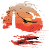 Seagull Seabird Lighthouse Sunset