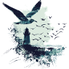 seagull seabird lighthouse
