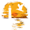 Seagull Seabird Lighthouse Sunset
