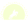 Silhouette Cheval Équestre Nocturne