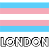Trans Pride Flag London