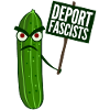 Respect Tolerance Humanity Antifascism