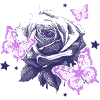 Purple Rose