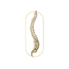 Back Surgery Survivor