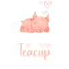 Teacup Cute Piglet Pig