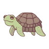 Cute Old Sea Turtle