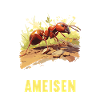 Fourmis fourmis