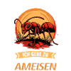 Ant Ameisen Ameise