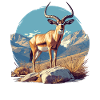 Antelope Antilopen Antilope