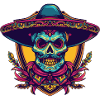Mexican Skull Sombrero