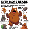 TOO MANY BEARS