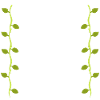 Leaves Line Nature Leaf Branches