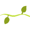 Two Leaves Line Nature