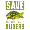 Red-eared Turtle Turtle