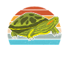 Red-eared Turtle Turtle