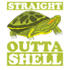 Red-eared Turtle Turtle