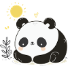 Marko the Panda: Cuteness Unleashed