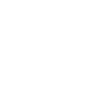 Xavi