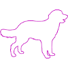 hund