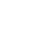 Raccoon Tribal Moon Phases