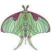 Art Nouveau Inspired Luna Moth