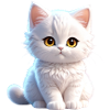 Cute white kitty