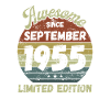 Awesome since September 1955 - Birthday