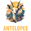 Antelope Antilopen Antilope
