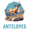 Antelope Antilopen Antilope