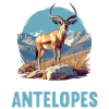 Antelope Antilopen Antilope