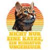 Bengalsk kat IKKE BARE EN KAT MINIATURE