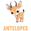 Antelope Antilopen Antilope
