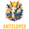 Antelope Antilopen Antilope
