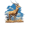Antelope Antilopen Antilope