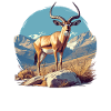 Antelope Antilopen Antilope