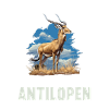 Antelope Antilopen Antilope