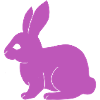 Bunny Santi