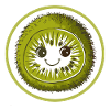 Kiwi for everyone